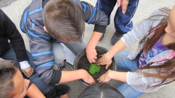 Children Gardening