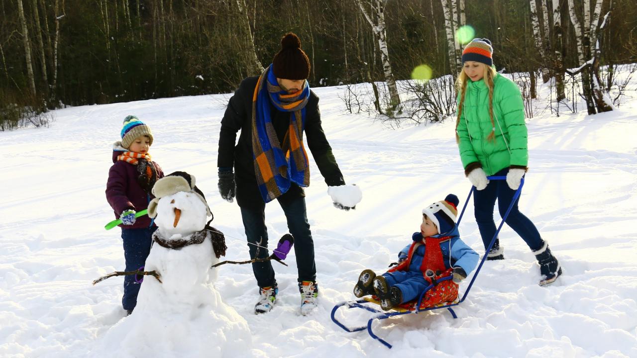 family playing in the snow