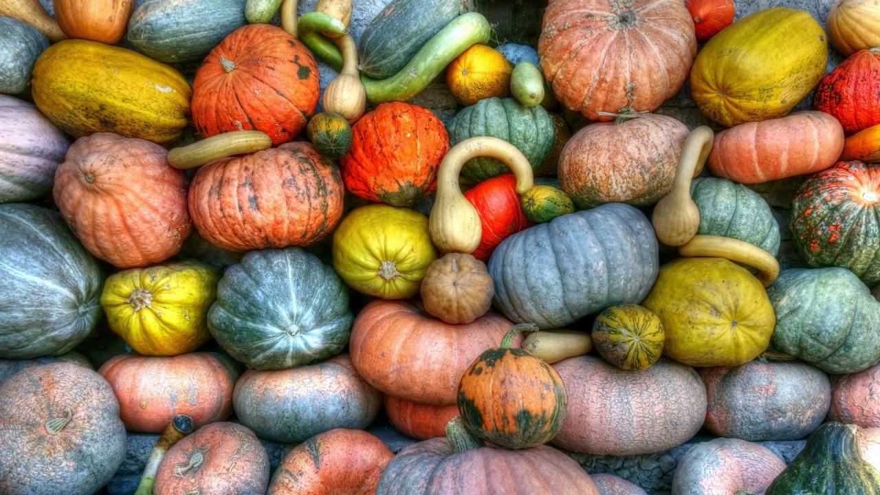 winter squash