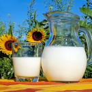 a pitcher of milk next to sunflowers