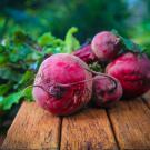 close up of beetroot 