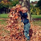 boy playing in the leaves