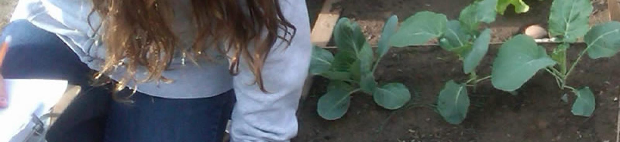 Children participating in the Shaping Healthy Choices Program